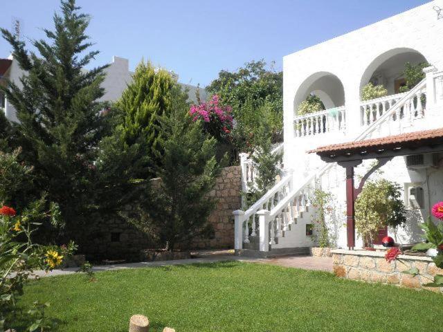 Studios Irene Σκάλα Εξωτερικό φωτογραφία