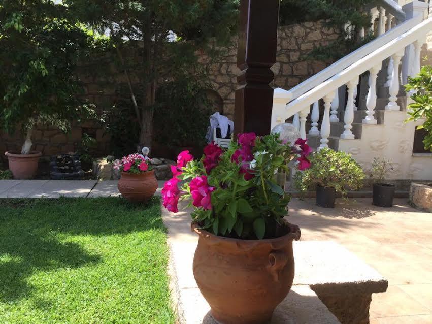 Studios Irene Σκάλα Εξωτερικό φωτογραφία