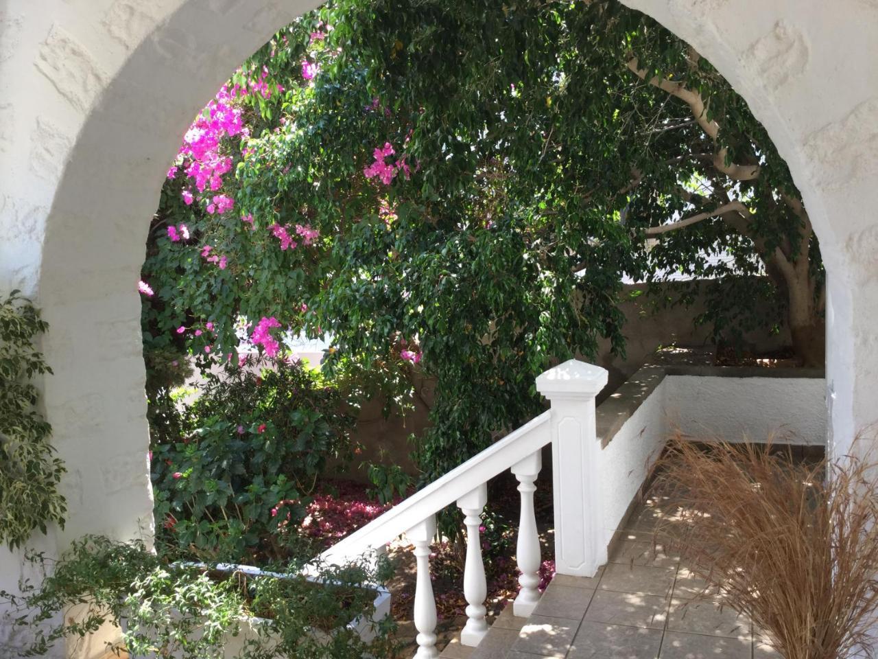 Studios Irene Σκάλα Εξωτερικό φωτογραφία